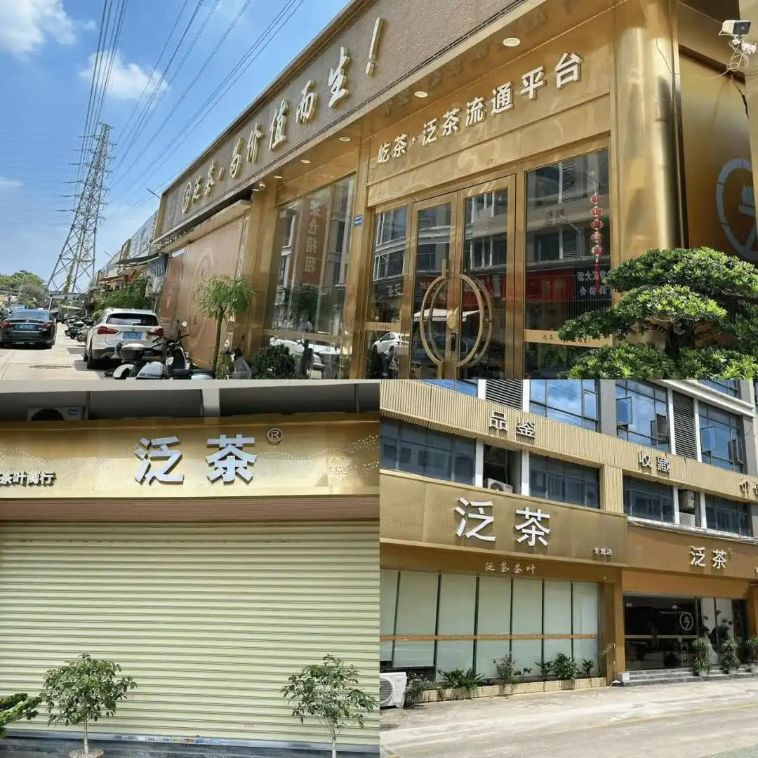 从风口掘金到激流勇退：湖畔协会成员的泛茶投资传奇